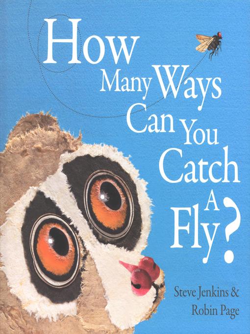 Cover of How Many Ways Can You Catch a Fly?